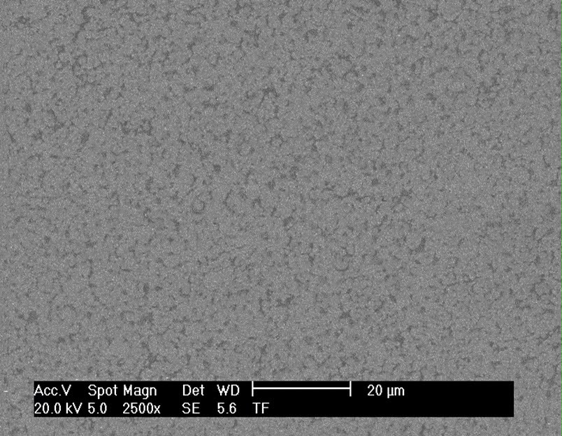 SEM Analiz 2500x